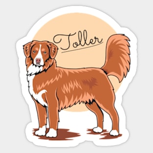 Toller Waiting For You Sticker